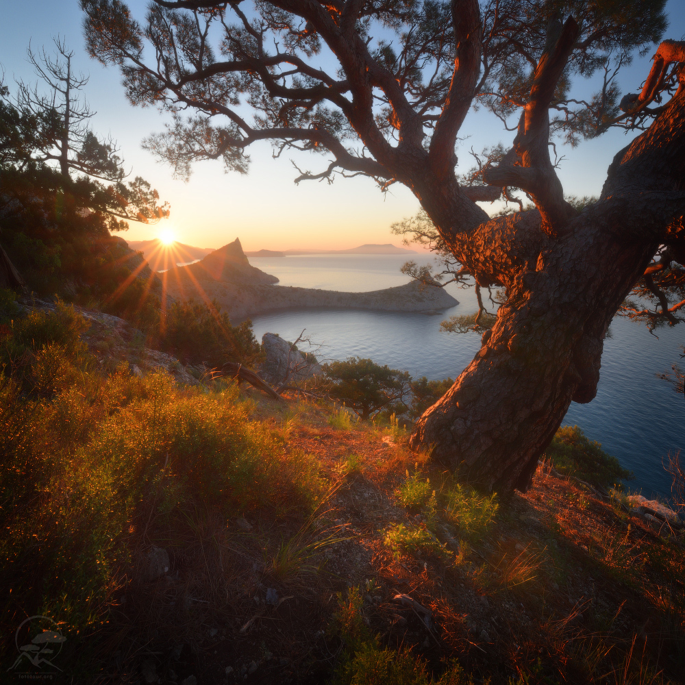 Morgen in der Neuen Welt