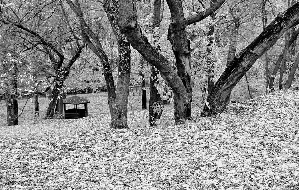 Legenden der Leidenschaft