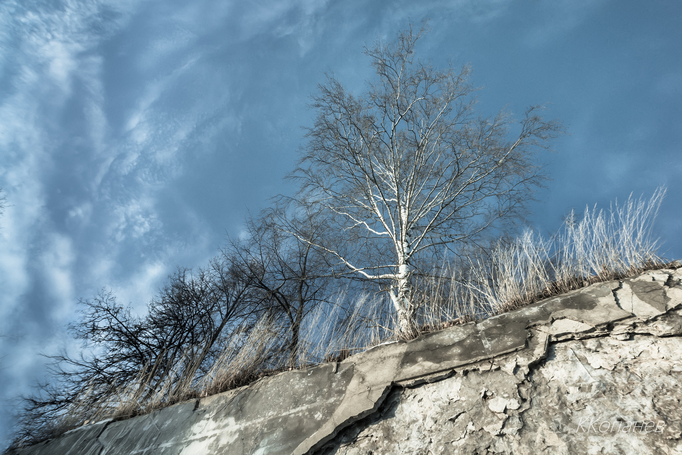 und Bäume auf den Felsen
