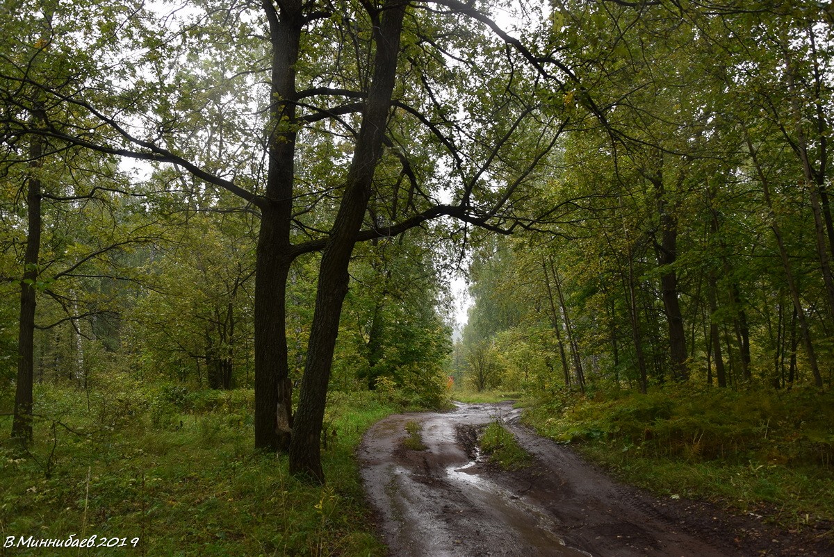 Nach dem Regen