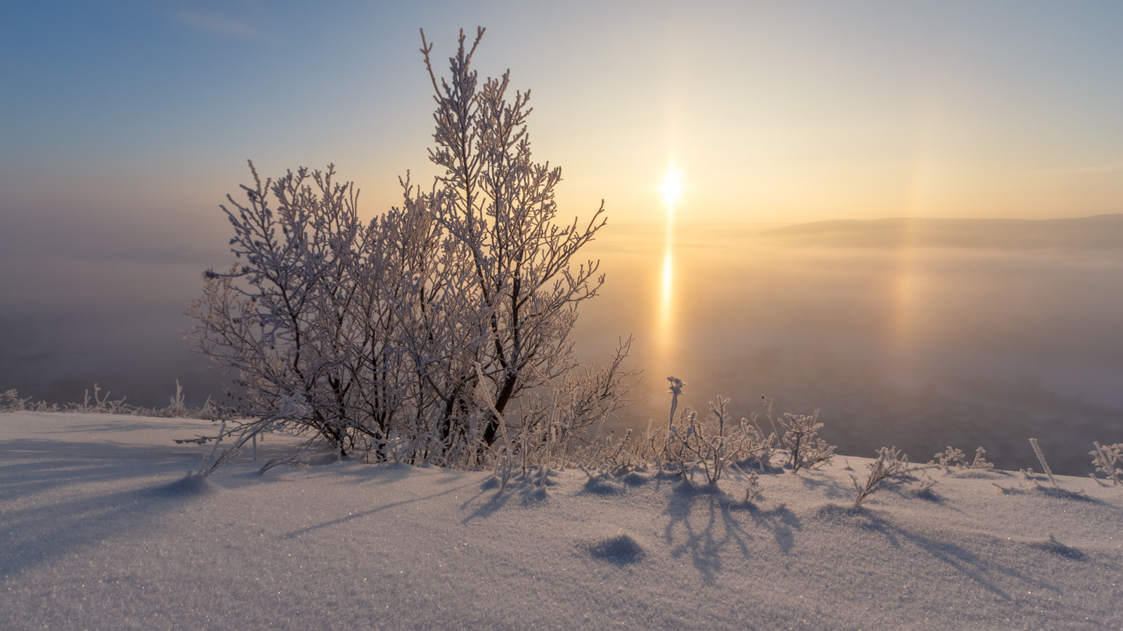 Glückliches Neues Jahr !!!