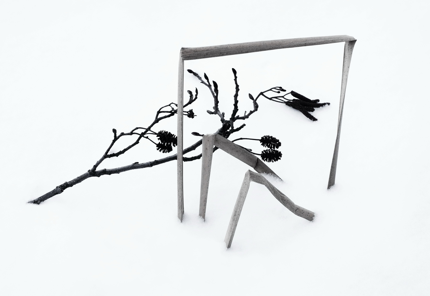 Glückliches Neues Jahr!