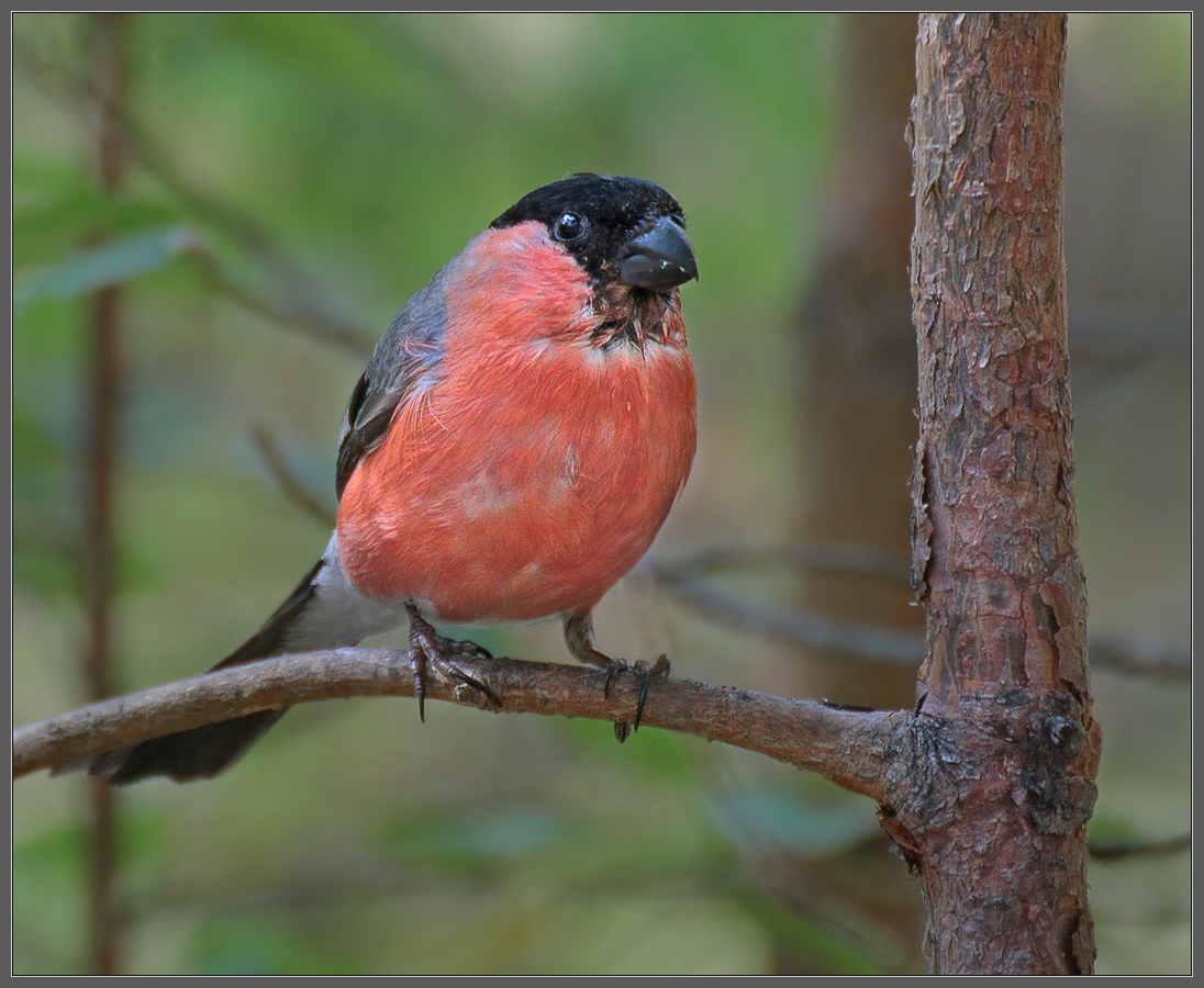nach regen am Donnerstag