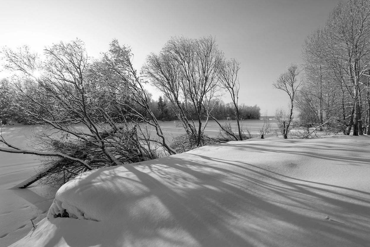 Licht und Schatten ...