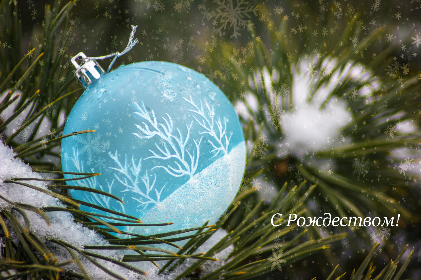 Herbst Morgendämmerung