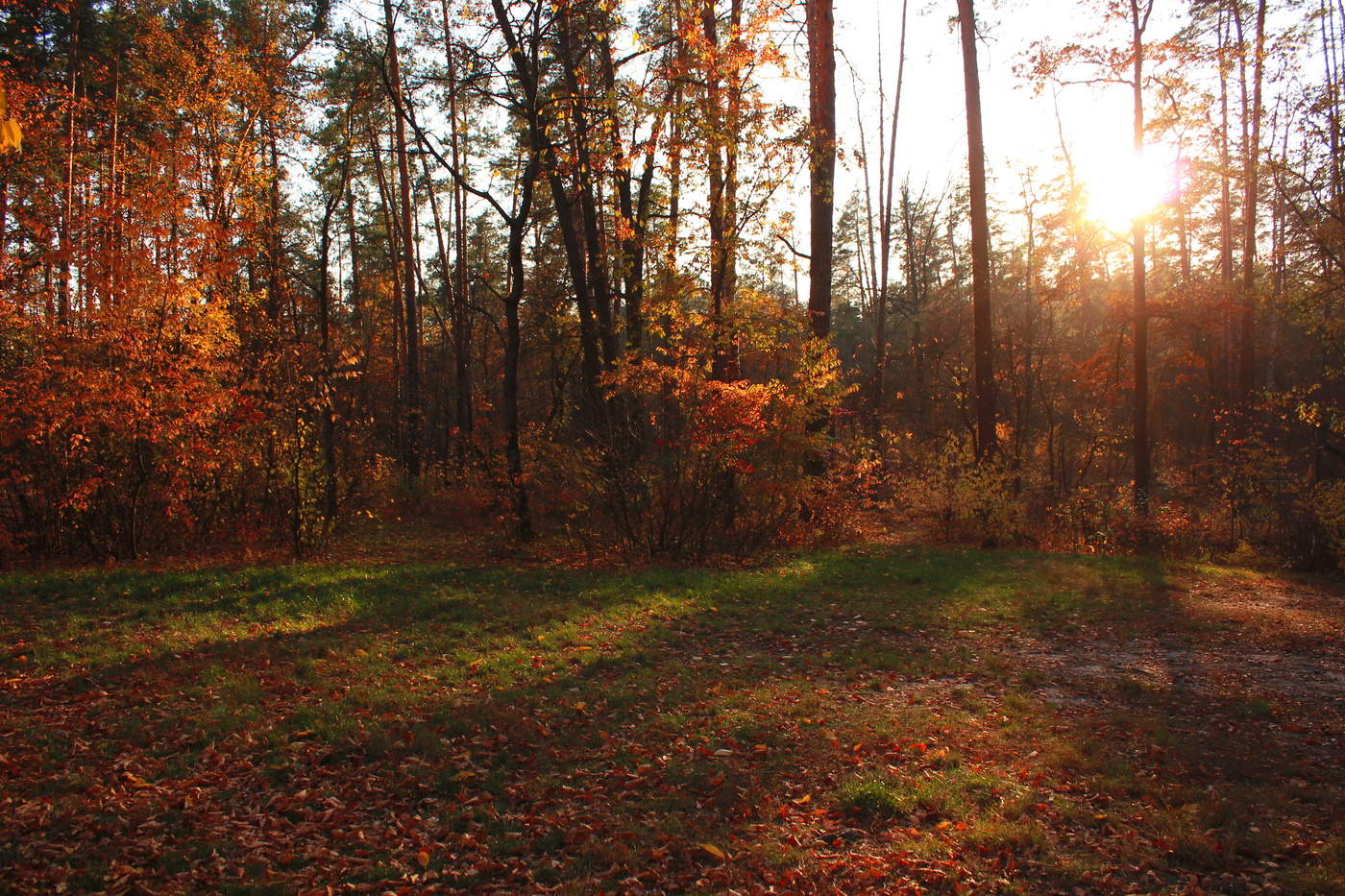 Herbst-Sonnenuntergang