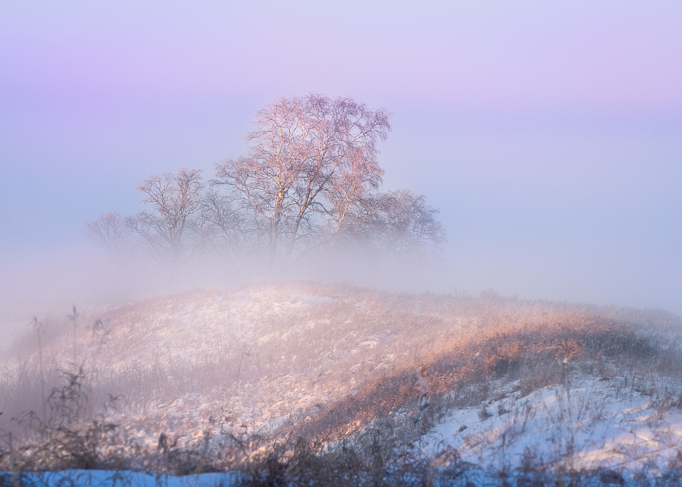 Ice Fog