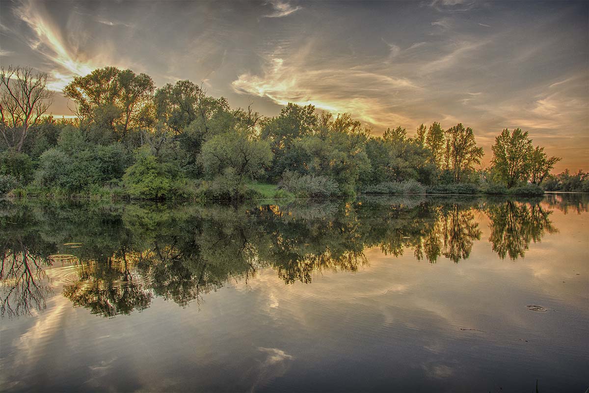 W wodzie i na brzegu...