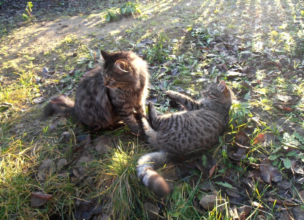 Der Winter ist vorbei