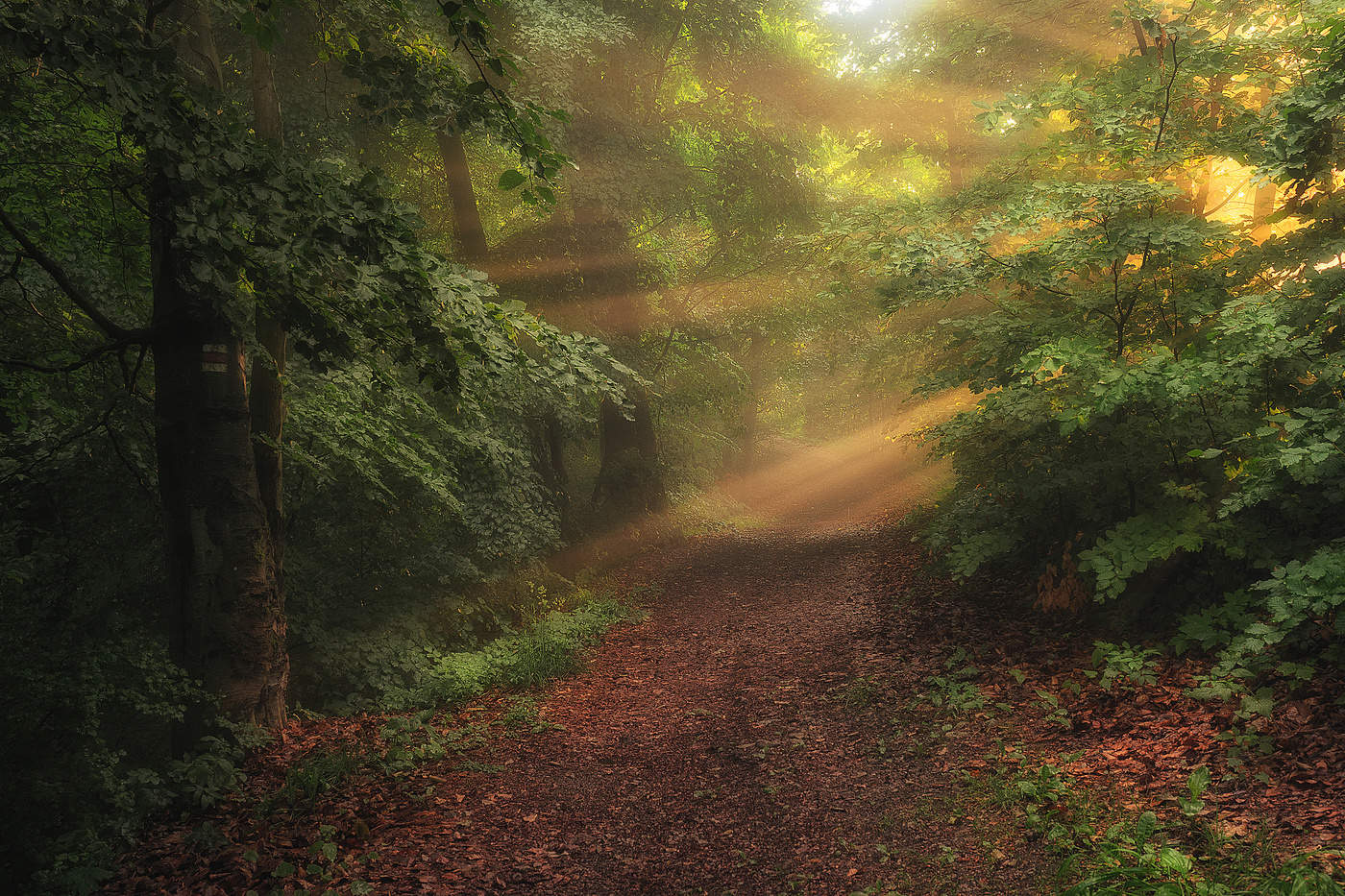 In the embrace of the sun