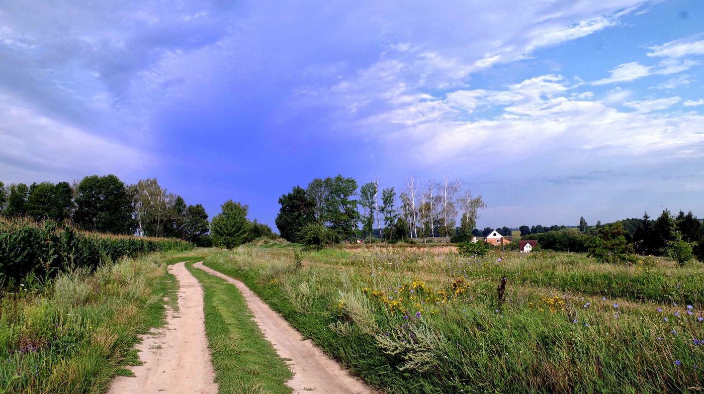 Die Straße im Sommer