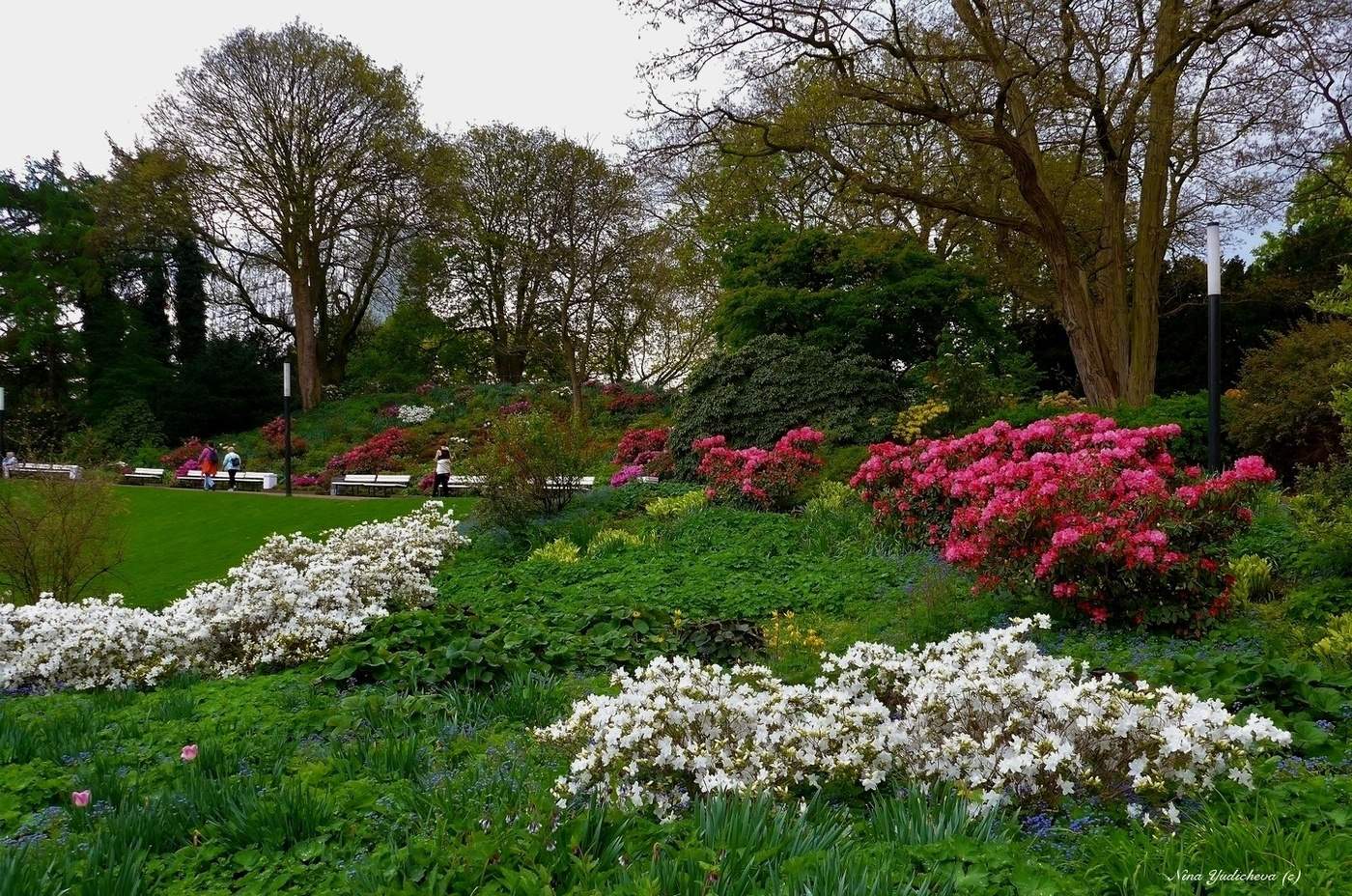Planten un Blomen Hamburg