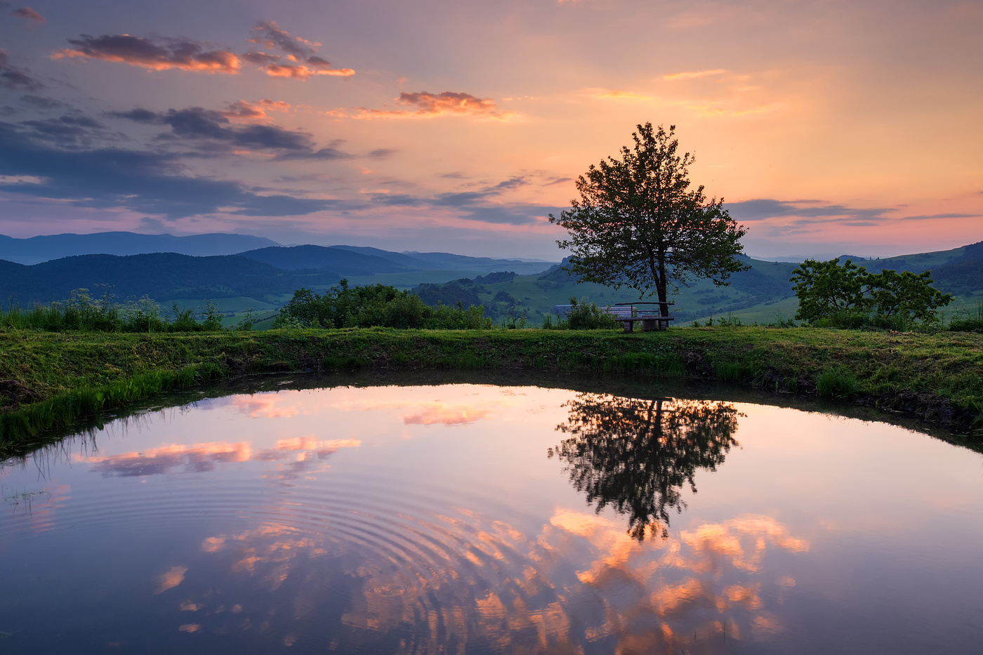 Looking in the mirror