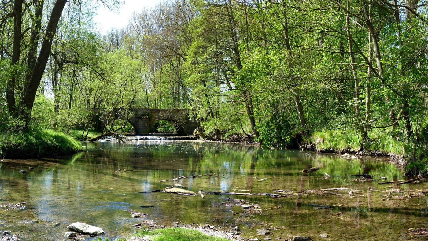 am kleinen Fluss im Mai