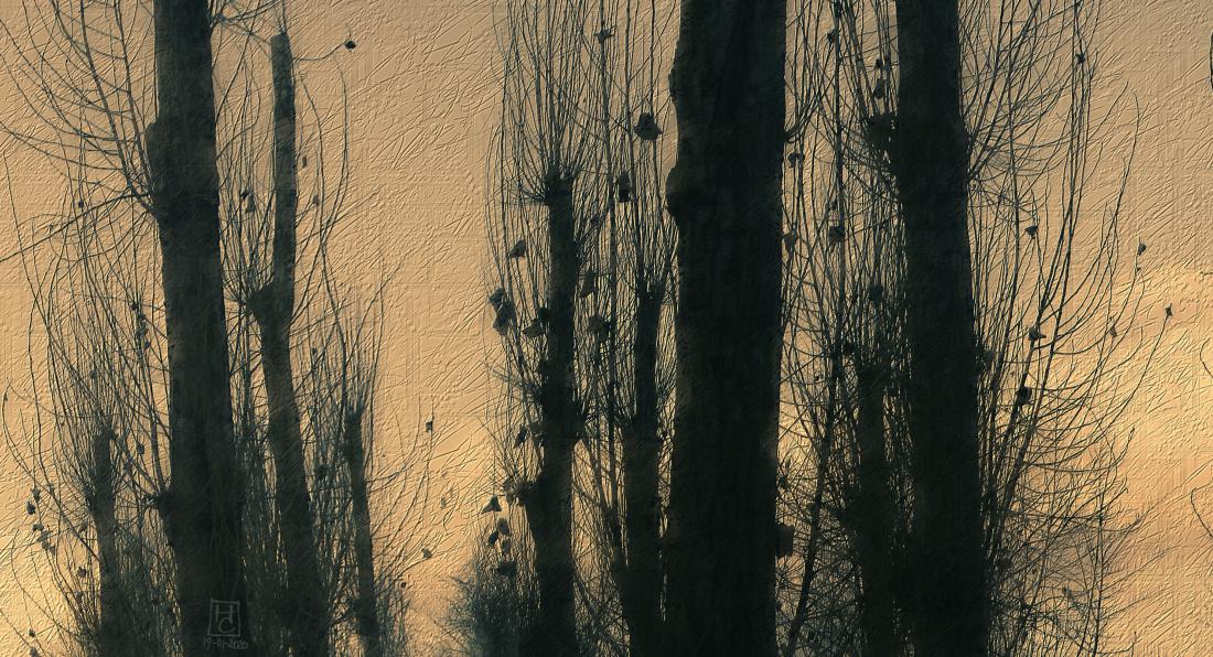 Der Winter ist vorbei