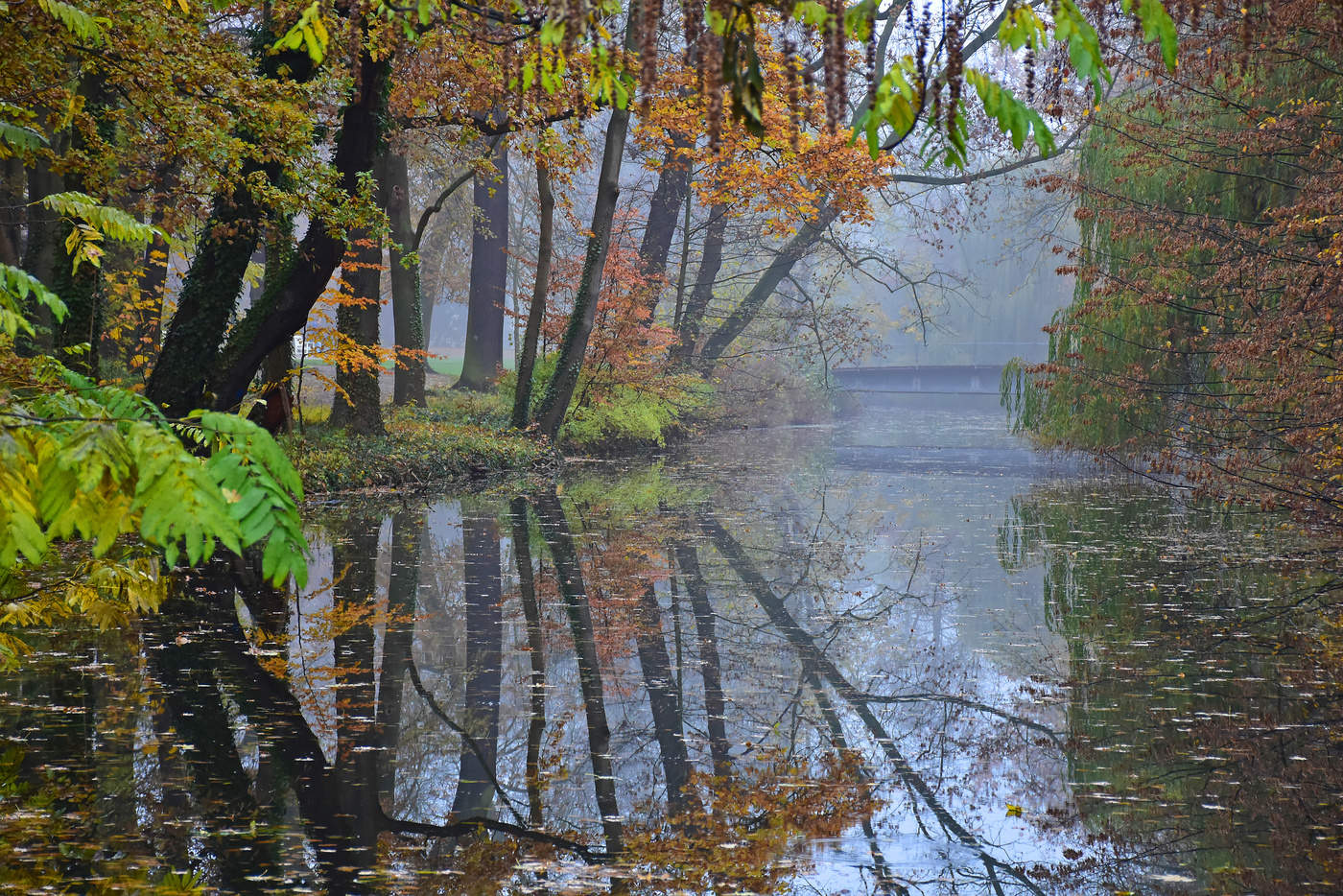 The quiet river on an autumn morning