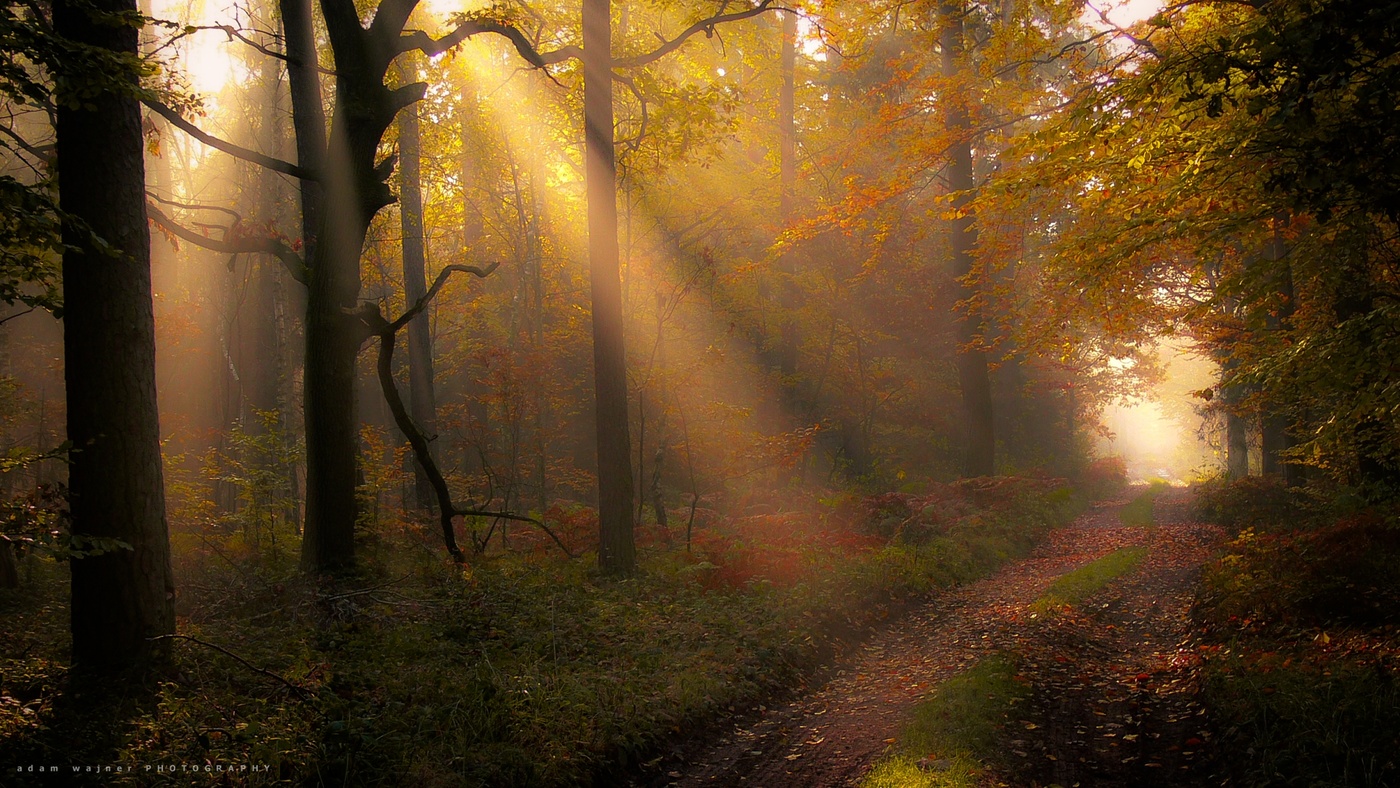 Come with me into the light.