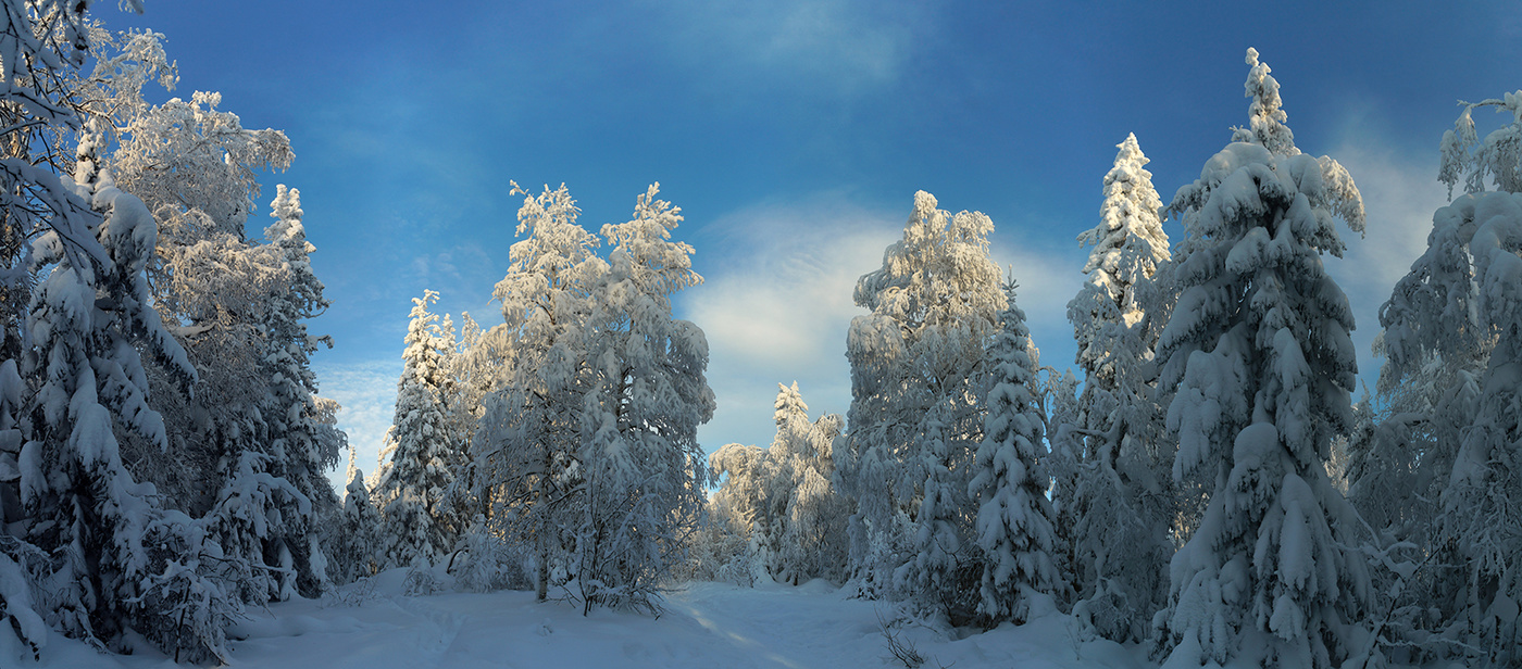 Im Schnee Königreich.