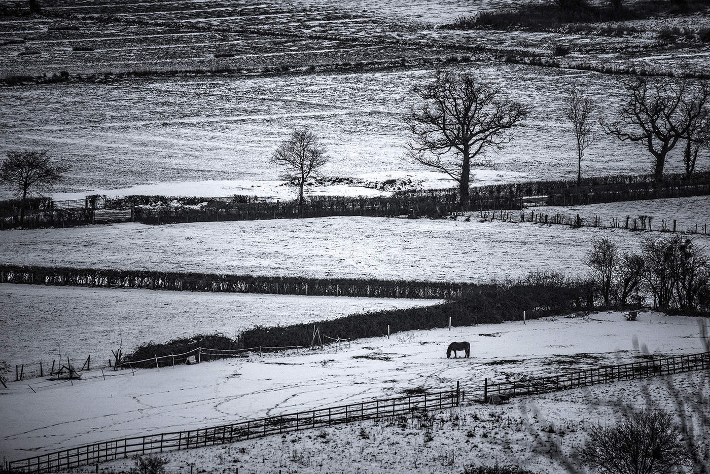 snowy landscape at Yatton (Bristol, UK)
