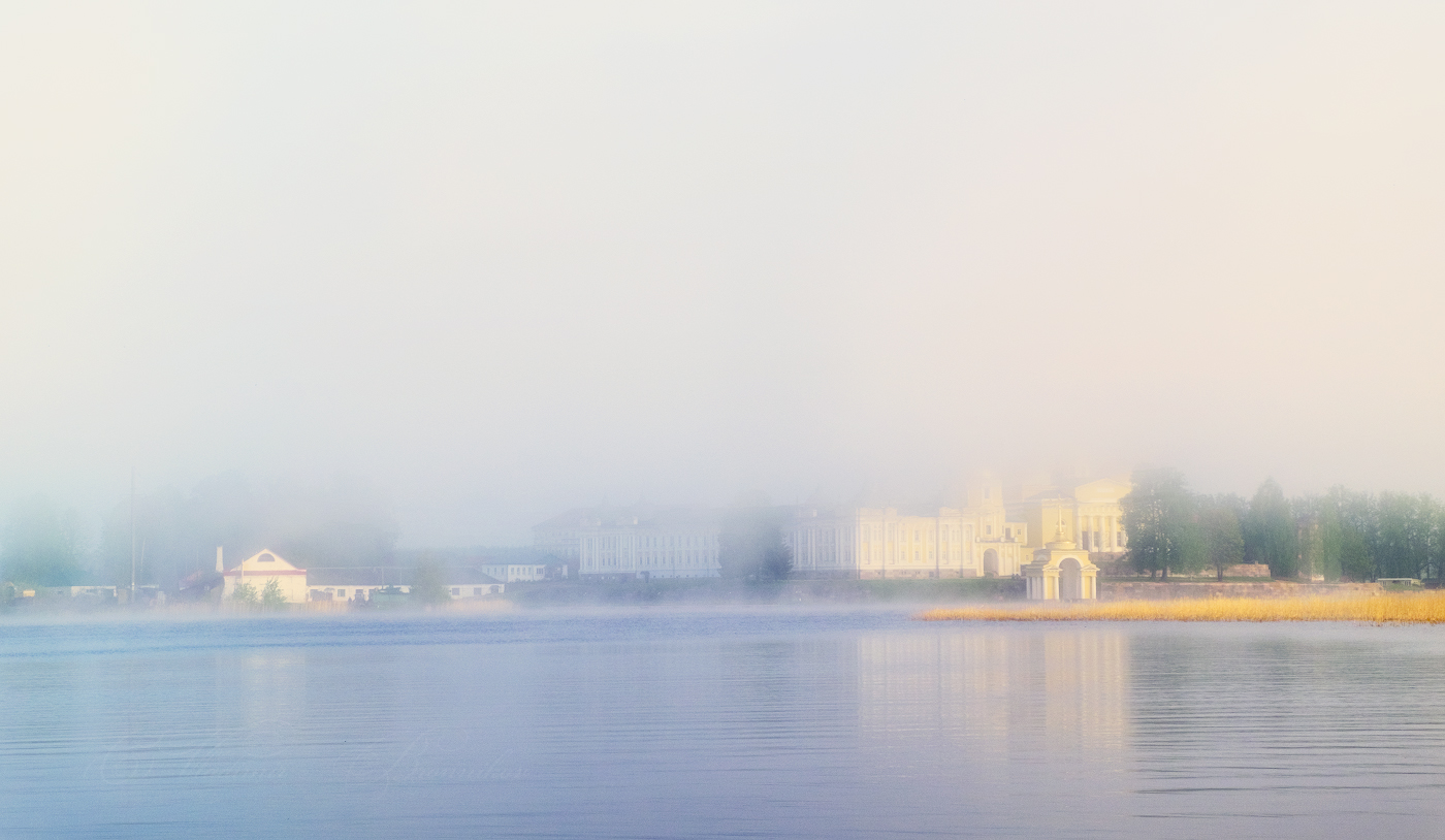 In der nebligen Dunst