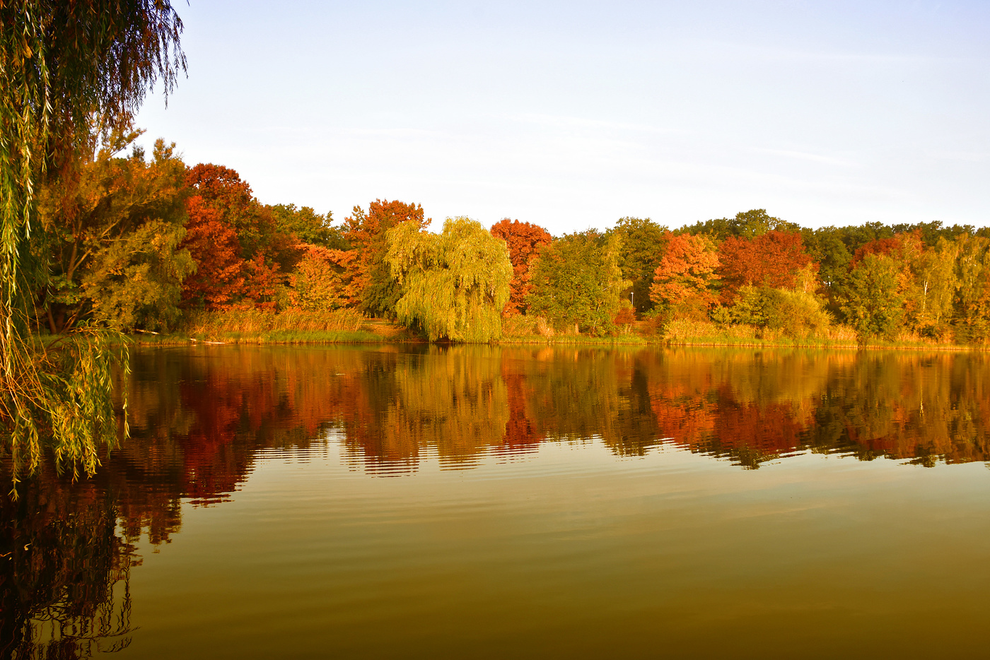 Autumn colors in the still lake