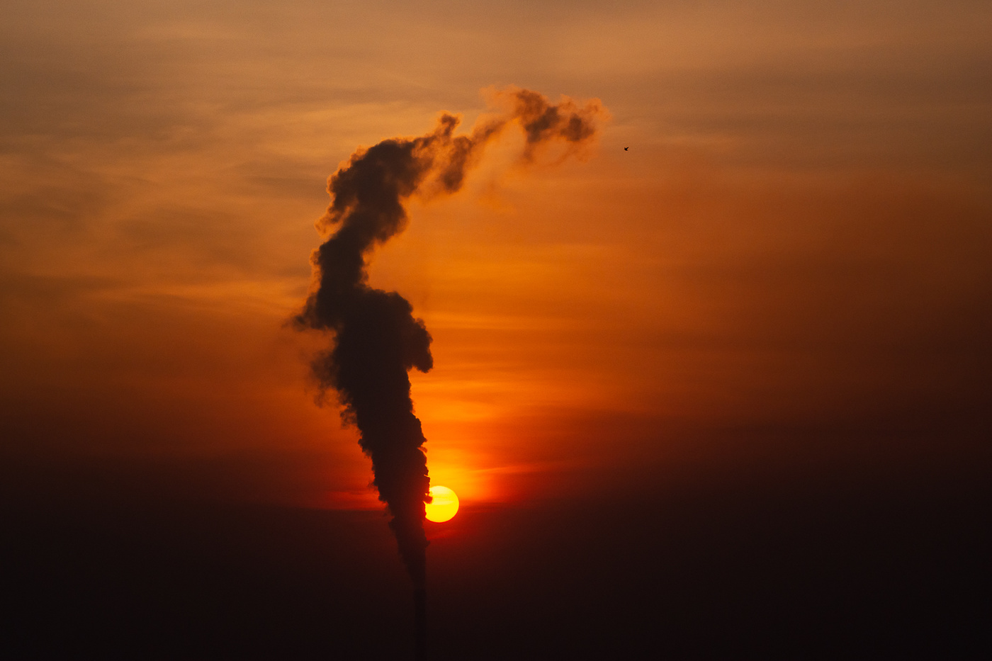 Januar Sonnenuntergang