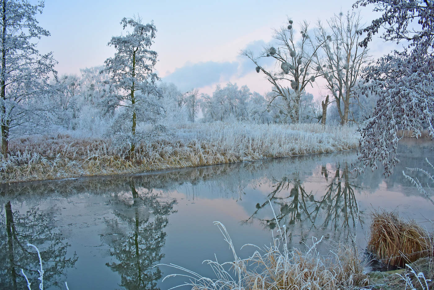 Frosty silence