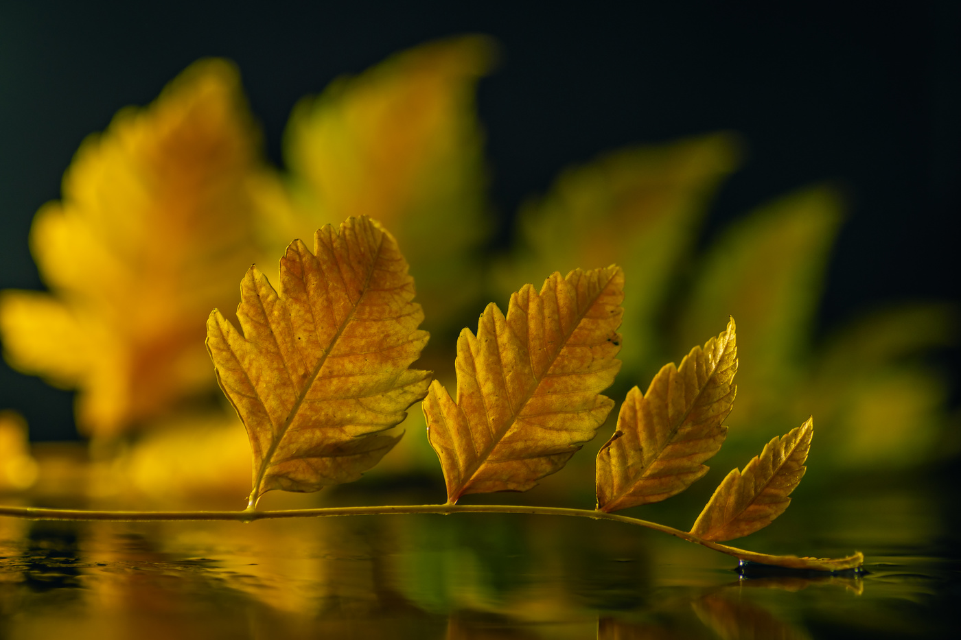 Cuando se vive, no se resiste.