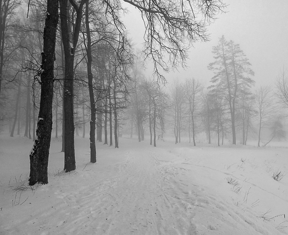 Der Geruch des Herbstes