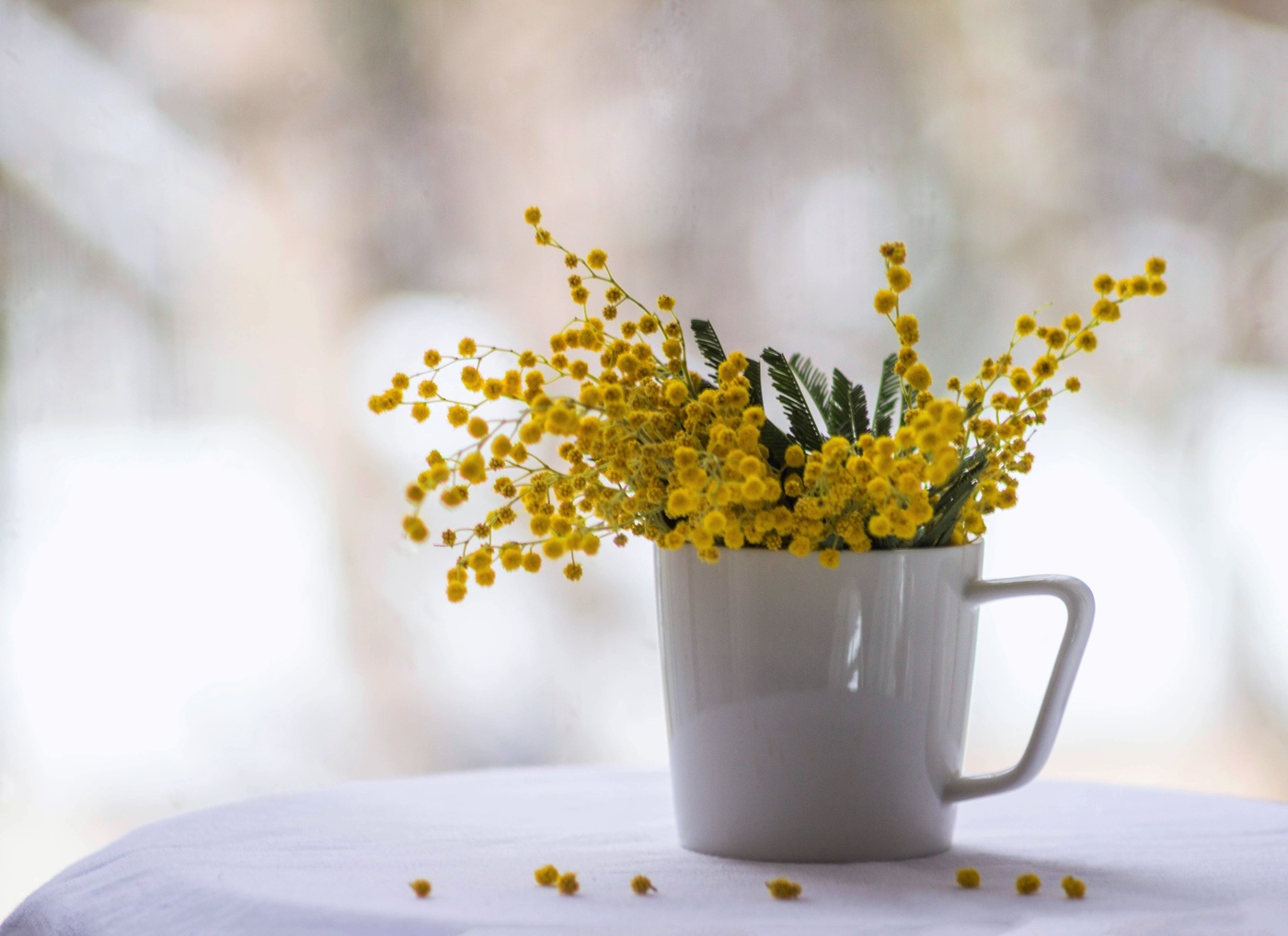 An der Schwelle des Frühlings