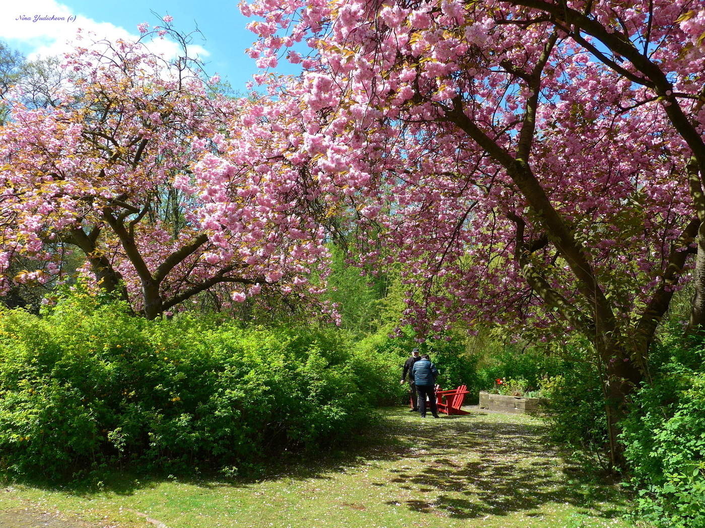 Stadtpark Hamburg