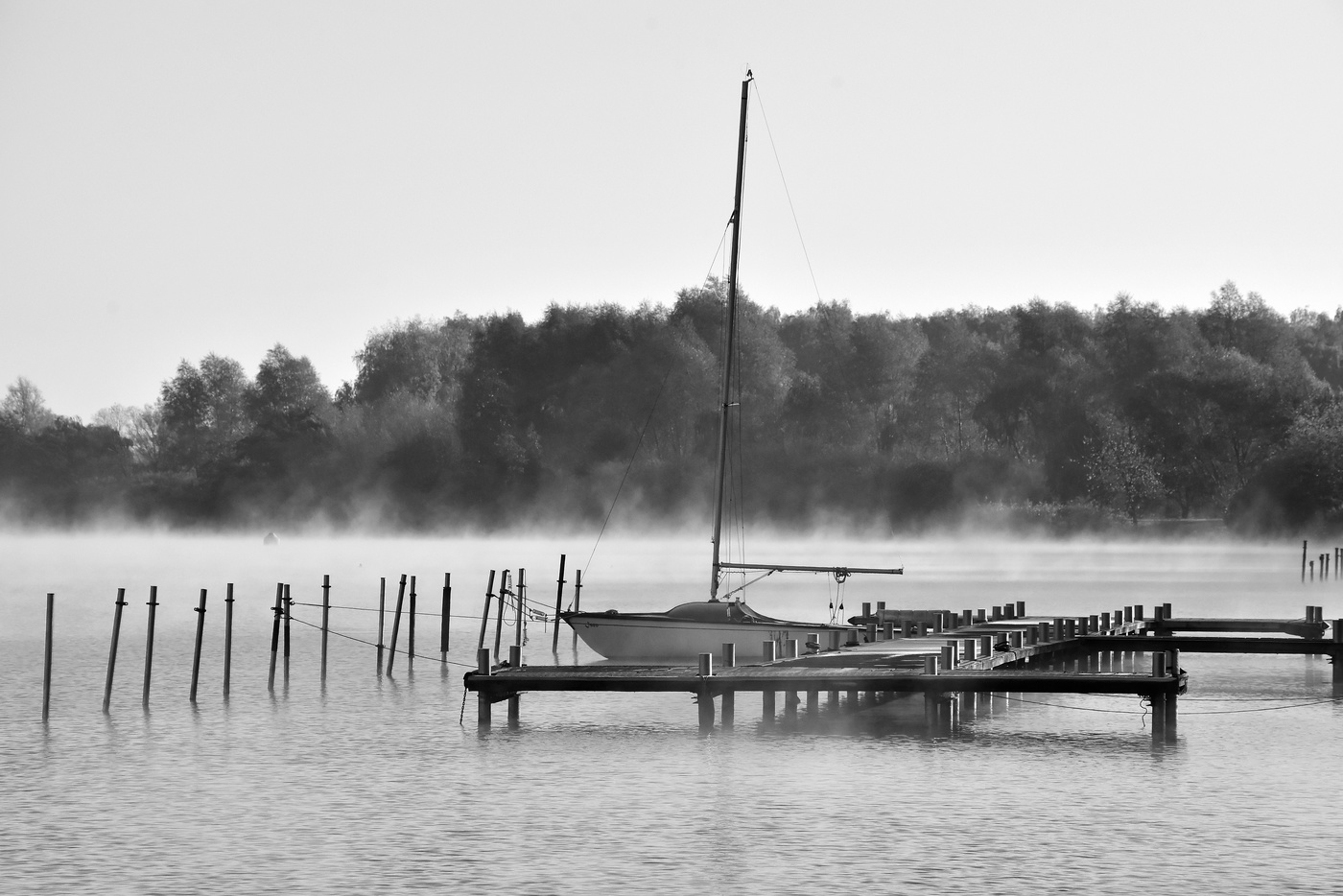 Morning fog at the lake of absolute silence