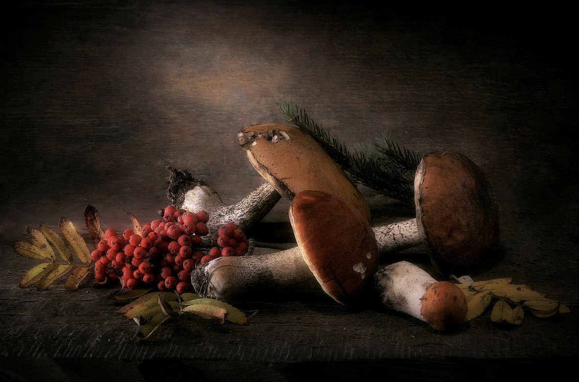 Autumn Still Life