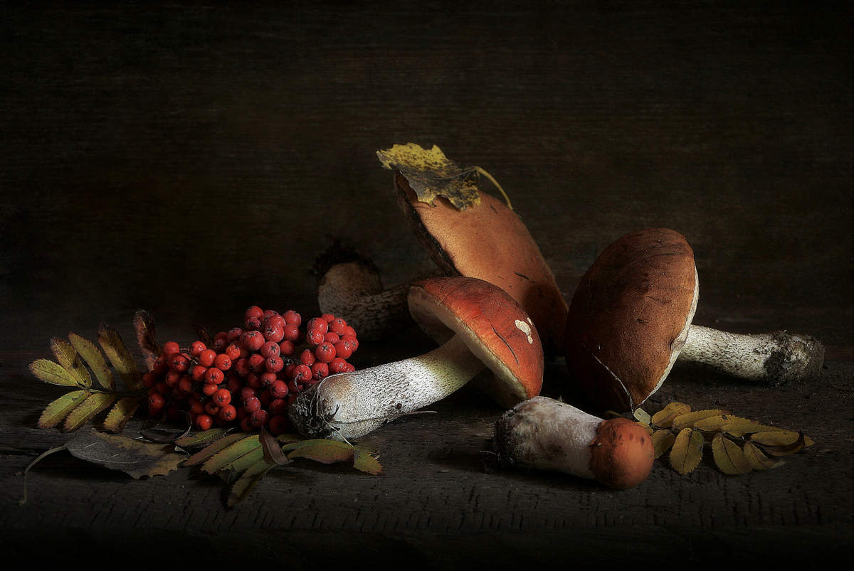 Autumn Still Life