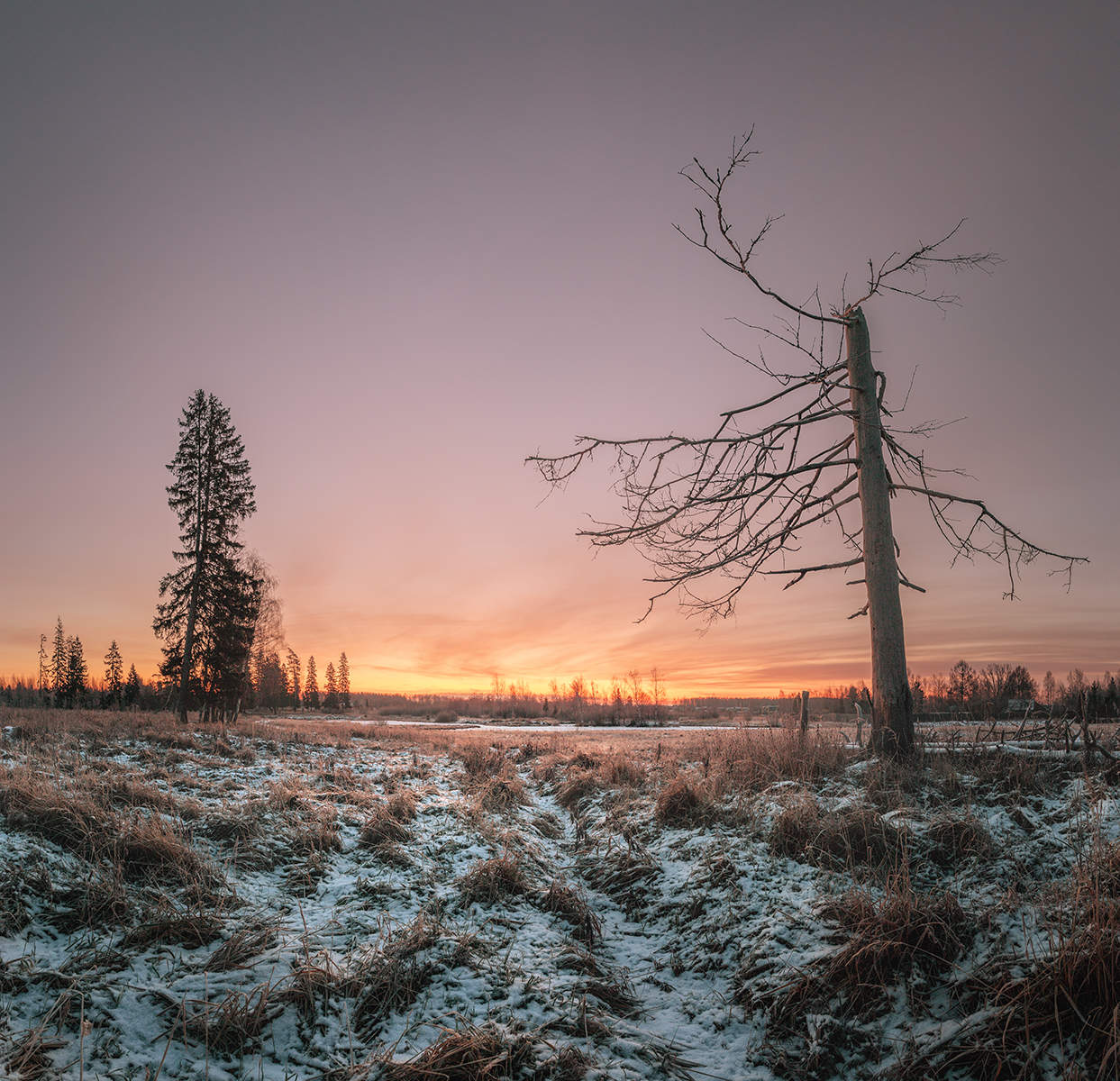 Vor der Morgendämmerung
