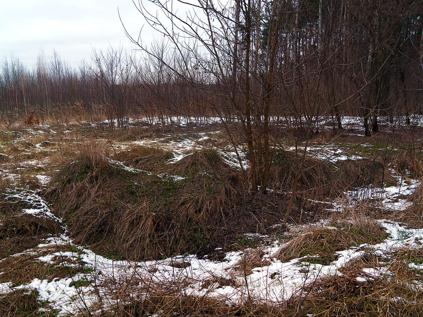 Der Winter ist vorbei