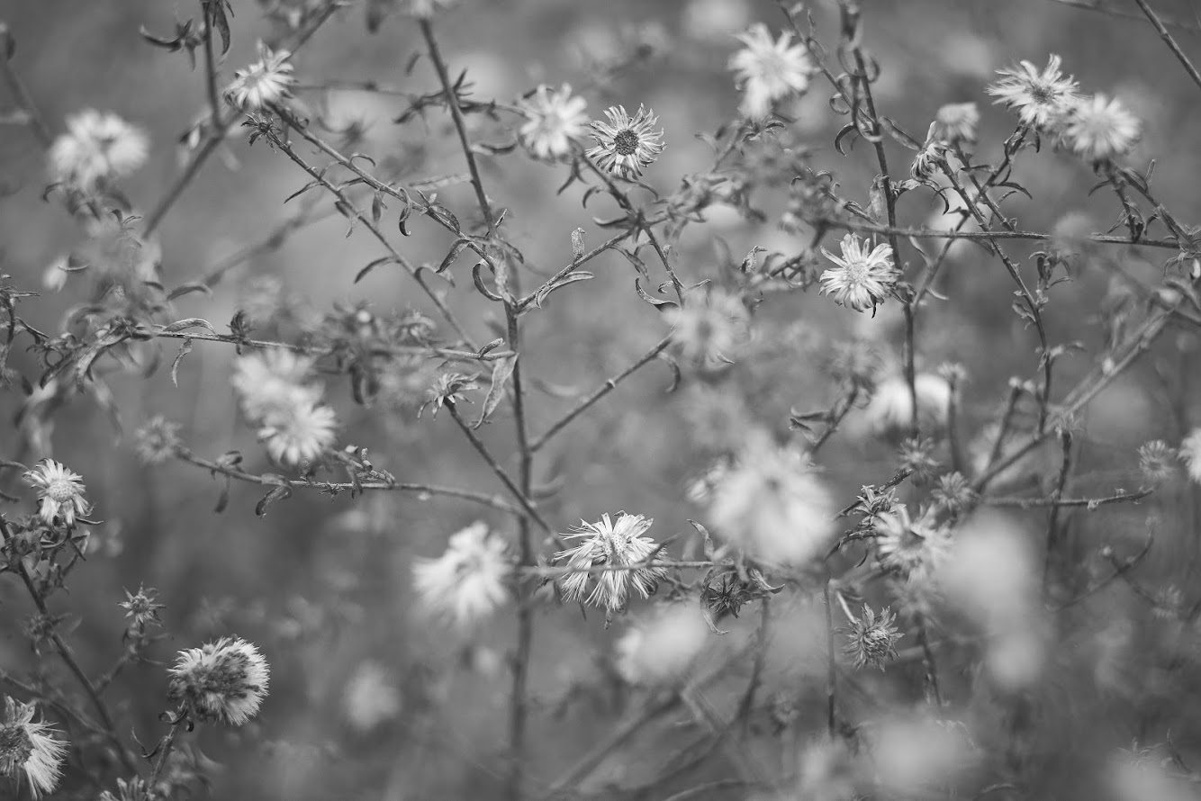 An der Schwelle des Frühlings