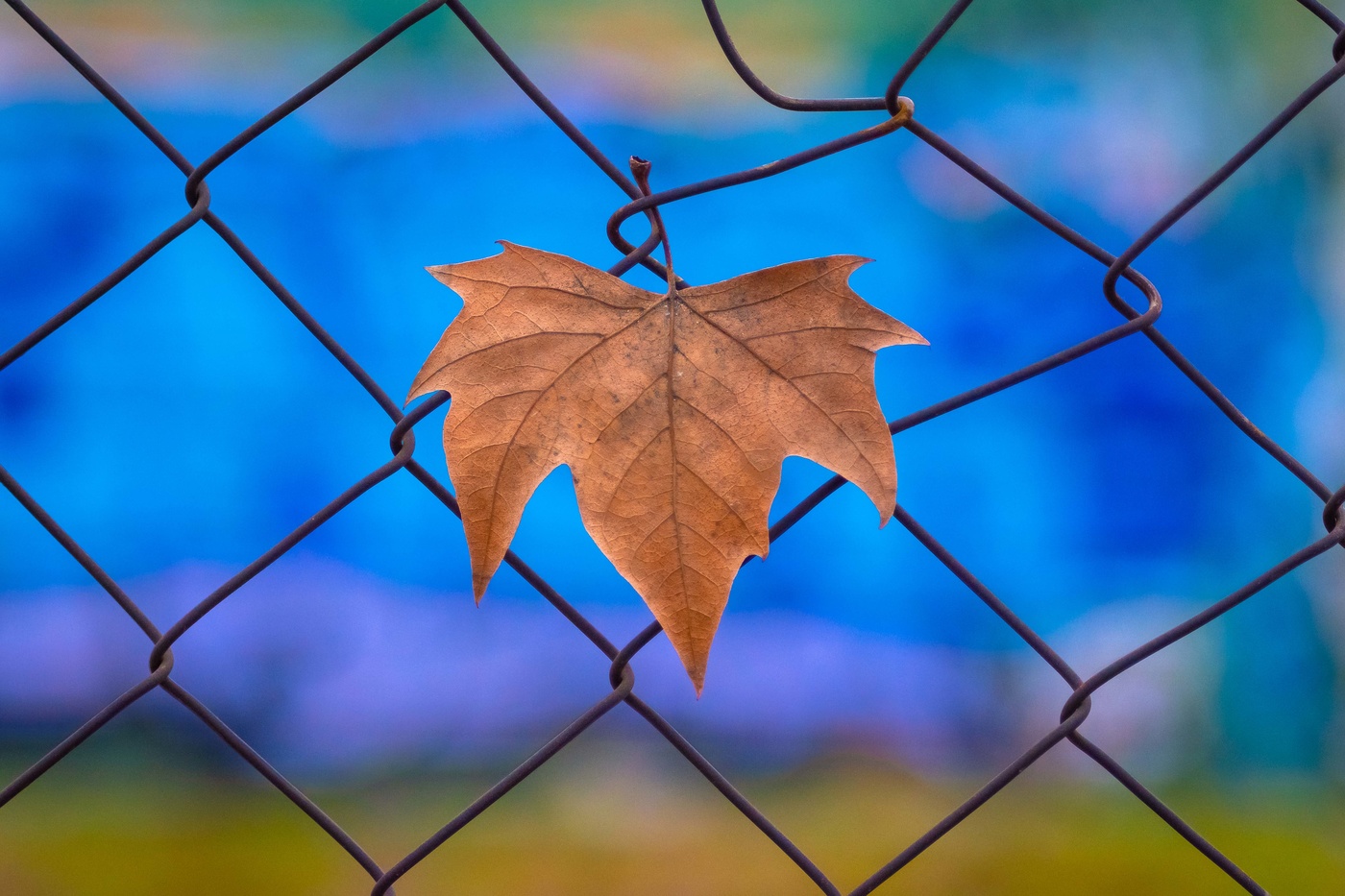 Se agarra a la vida.