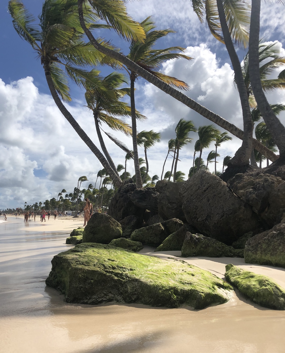 Irgendwo weit weg ...