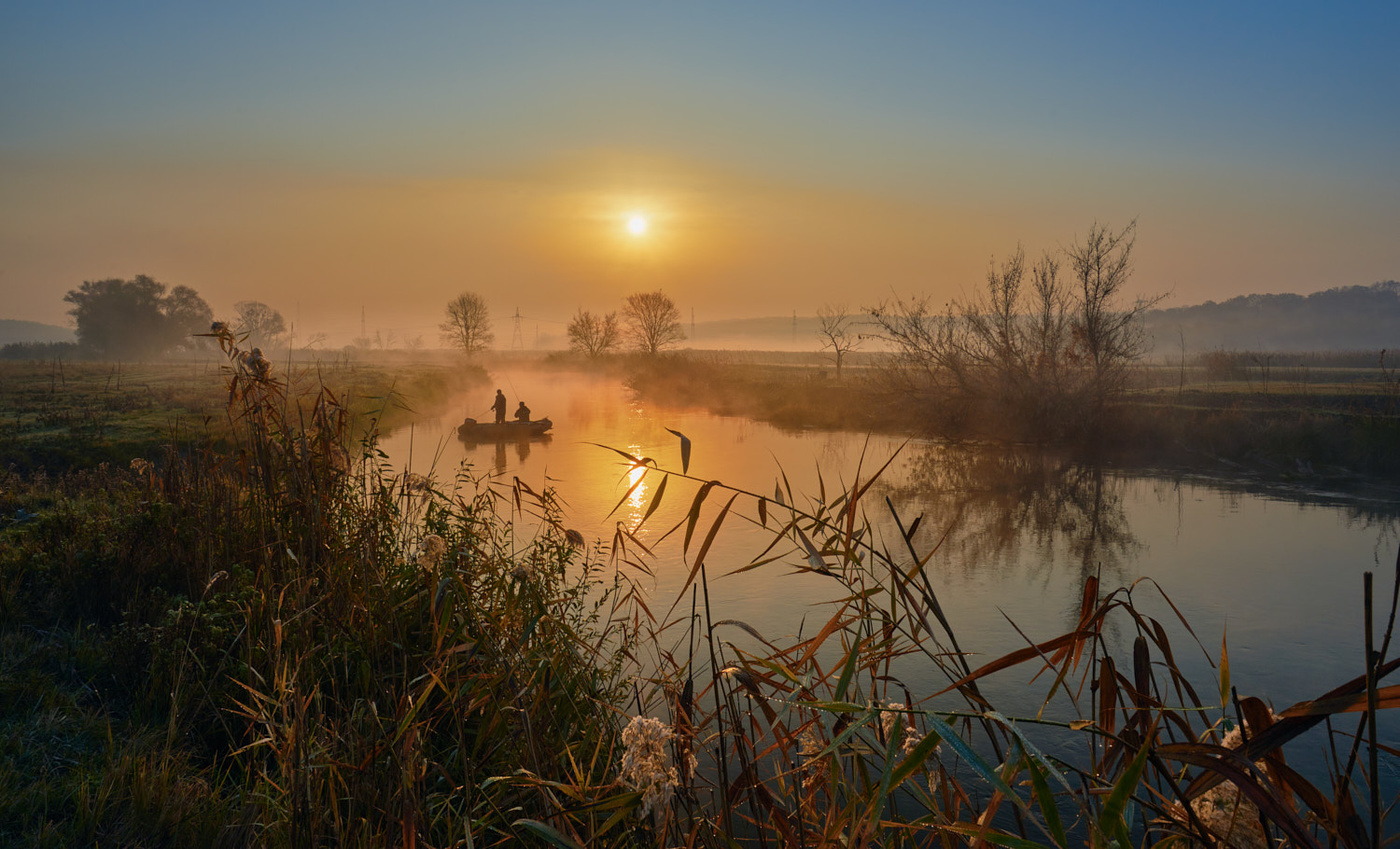 In Erwartung der beißende