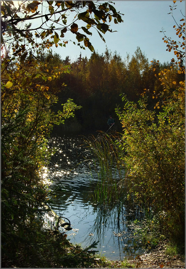 Herbst Shooting Stars