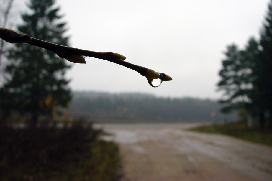 Prazrystasts Shlyakh