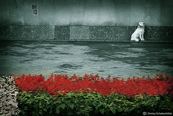 Land Stabilität und tiefgreifende soziale Schutzmaßnahmen.