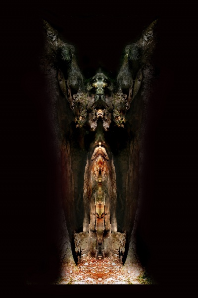 Geheimnisse einer alten Eiche