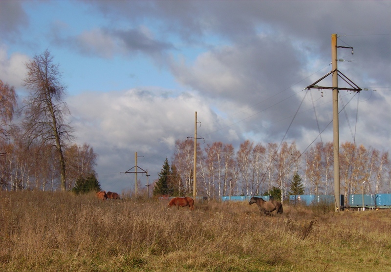 Where asphalt comes to an end?