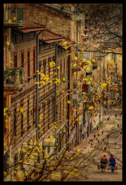 ...crepuscular patrol