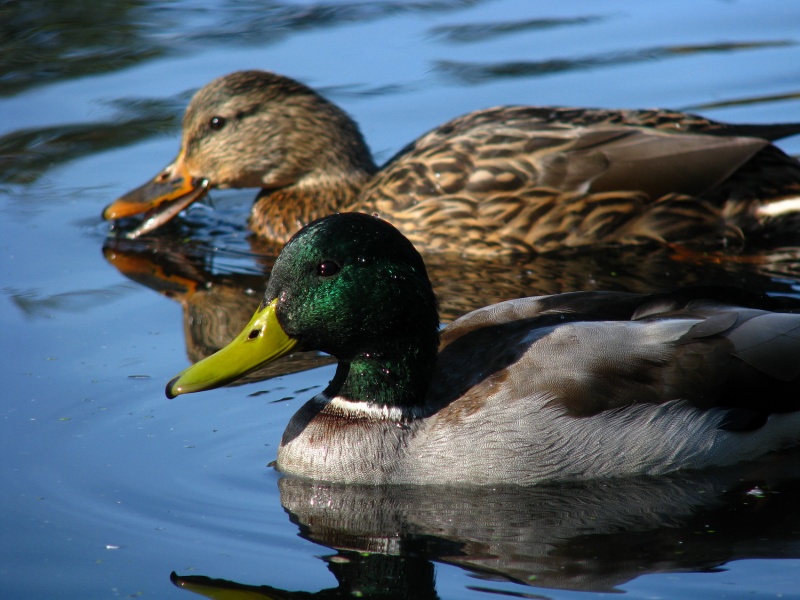 Wir gehen auf Tamara Paar ..