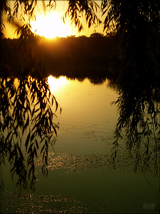 einen angenehmen Sommerabend ..