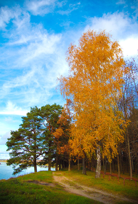 ... und verlieben kommt mit Gold