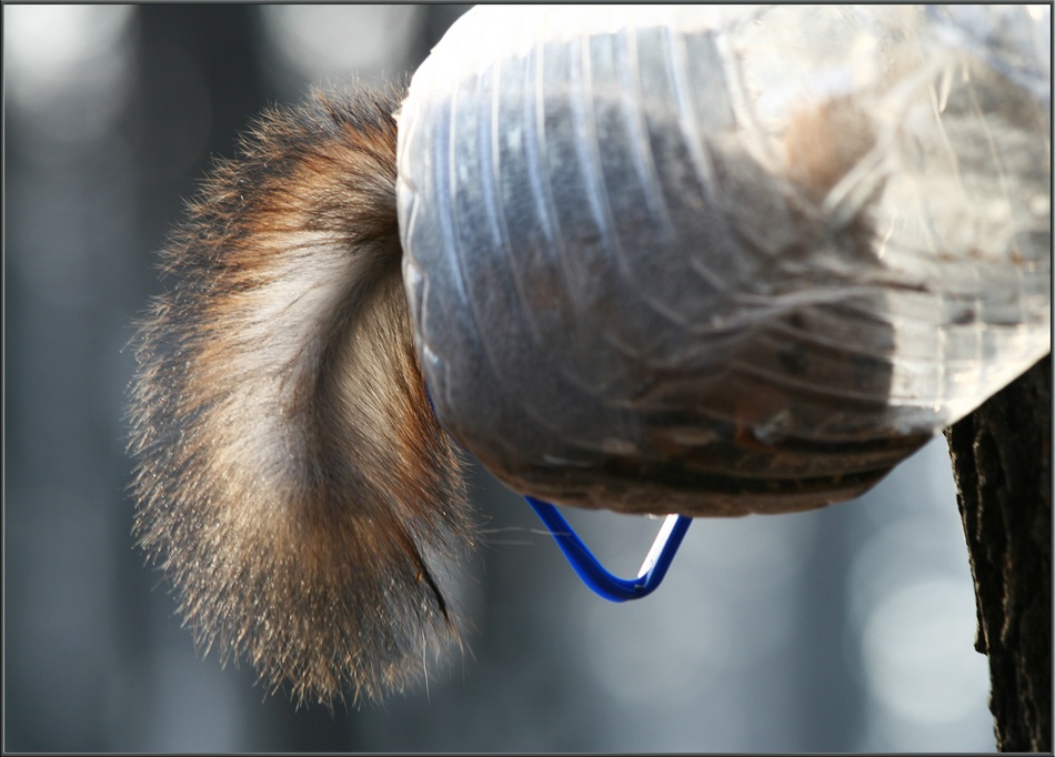 Und was für ein leckeres sinichek?